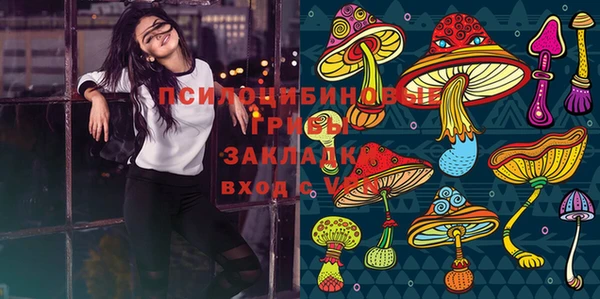 наркотики Богородицк