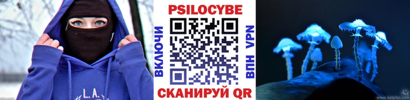 Галлюциногенные грибы Cubensis  mega зеркало  мориарти официальный сайт  Шенкурск 